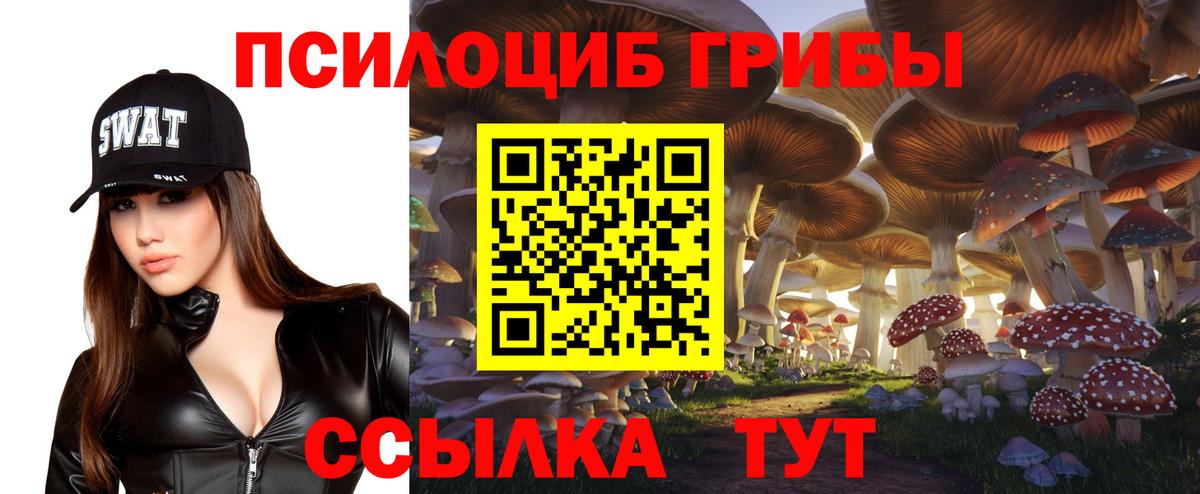Псилоцибиновые грибы мицелий  Вход с VPN  Ирбит 